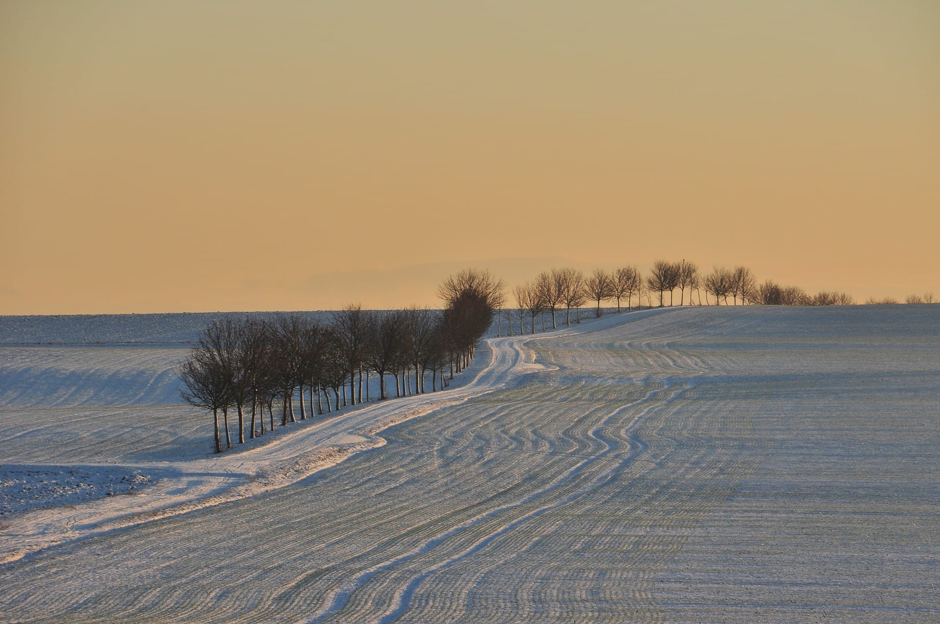 Wiltshire At Christmas